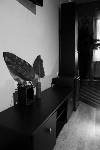FLAMINGOS Apartman & Fitness OSIJEK - image 4