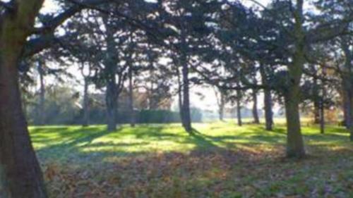 The Hollies Abode & free parking - perfect London long stay gîte à louer Sidcup