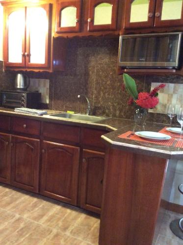 廚房, Jamaica Dream Gateway in 植物村