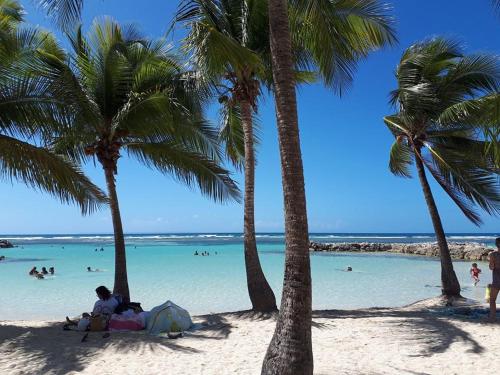 Paradis Caraïbes - Location saisonnière - Sainte-Anne