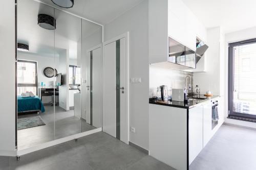 Luxury Apartment with Large Terrace, Wrocław (zdjęcie 7)