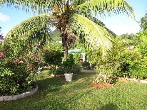 漂流者旅馆  漂流者旅馆