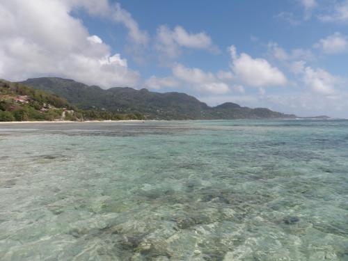 漂流者旅馆  漂流者旅馆