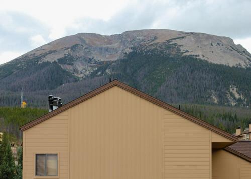 Forest Park 31E, Silverthorne (photo 9)