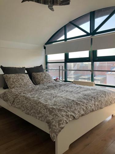 Romantic studio with jacuzzi, Praha (fotografie 9)