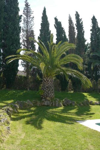 Arrábida Heritage @Portugal Luxury Retreat