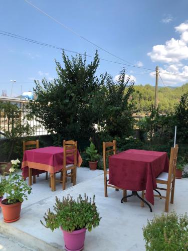 Hotel Villa Ago - main image