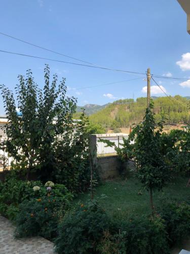 Hotel Villa Ago - image 12