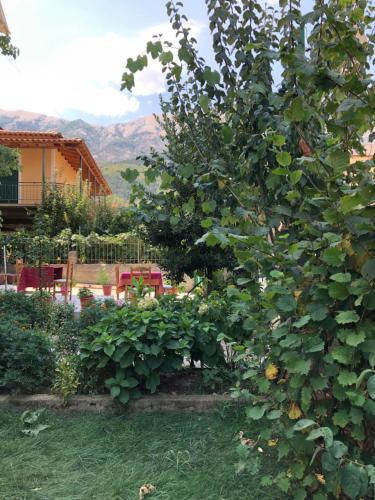 Hotel Villa Ago - image 5