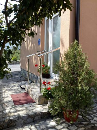  Apartman Toni in 23440 Gračac