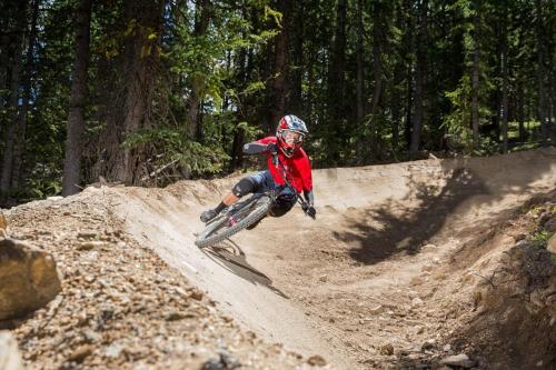 Springs 8835 - image 3
