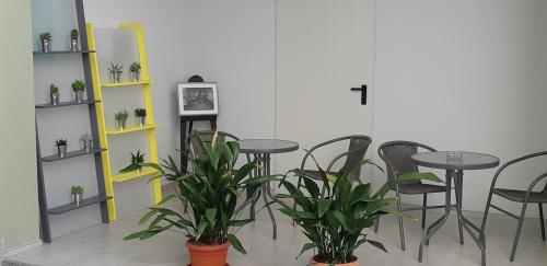 Guest House Green Heart - San Maurizio D'opaglio