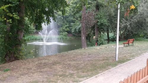 Studio Red Kot in Zielona Gora