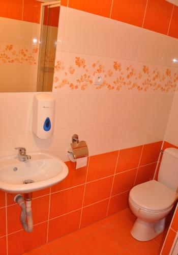 Hostel Děčín Na Skřivánce