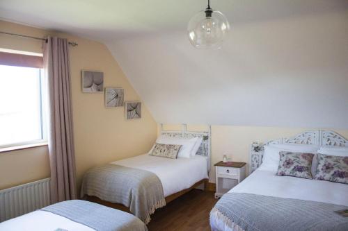 Madra Rua Organic Accommodation