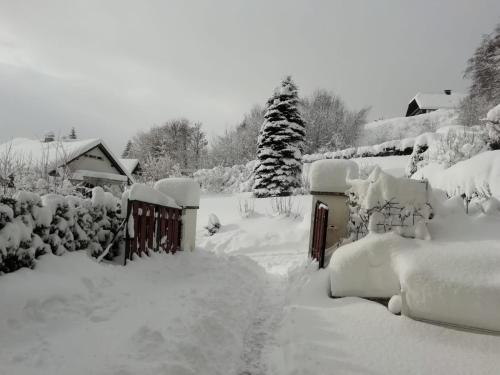 Tannenhof - Accommodation - Semmering