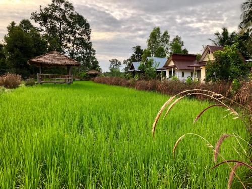 Baan Thung Home Stay in Прасат