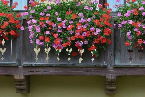 Müllnerbauer in Penk, Österreich