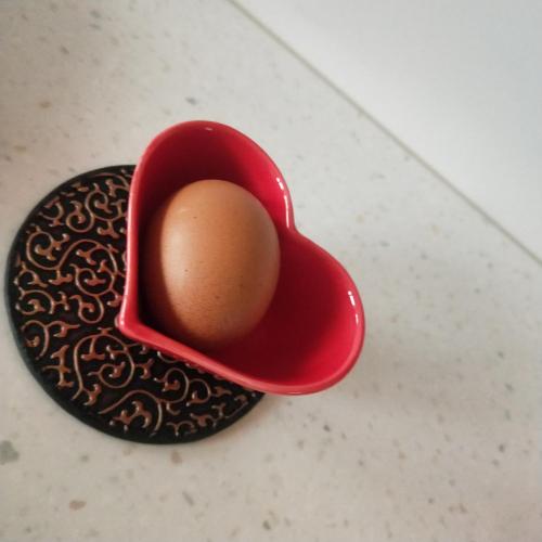 垦丁玹玹映月渡假旅店 (白沙湾 猫鼻头) 垦丁玹玹映月渡假旅店 (白沙湾 猫鼻头)