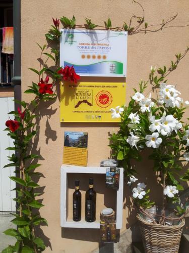 Loft al mare 3
