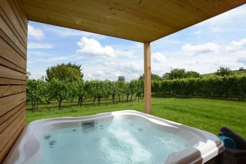 Between Riquewihr and Ribeauvillé - Townhouse jacuzzi Clos des Vignes "FOUGERE" - TripAlsace cottage Hunawihr