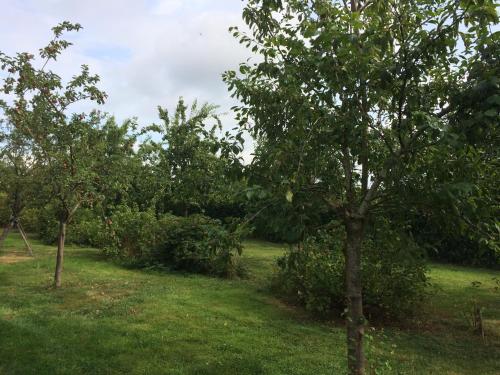  La Roulotte du Domaine du Bois de Graux in Lesve