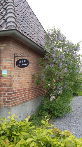 Viesnīcas āriene, B&B d'n Uilenhof Haren in Haren (North-Brabant)