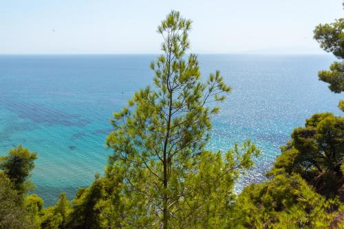  Electra's Private Beach Villa in Siviri