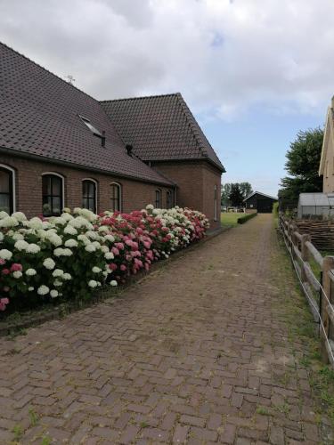 Apkārtne, B&B d'n Uilenhof Haren in Haren (North-Brabant)