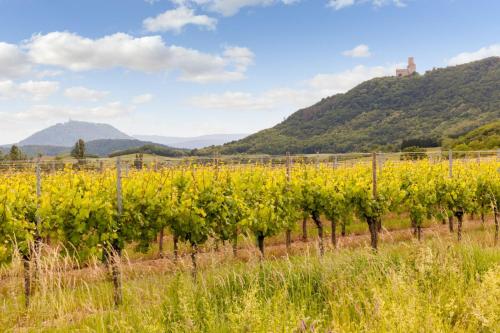Le Verger des Châteaux The Originals Relais (Inter-Hotel) - image 2