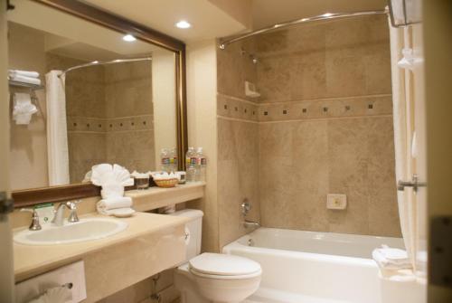 Standard King Room with View