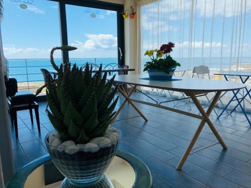 Salento Palace Bed & Breakfast - main image