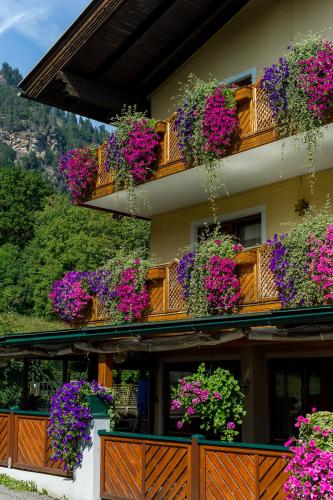 Pension Appartements Kirchenwirt - image 11