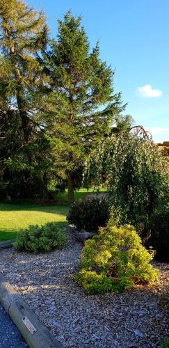 The Vine B & B - image 14
