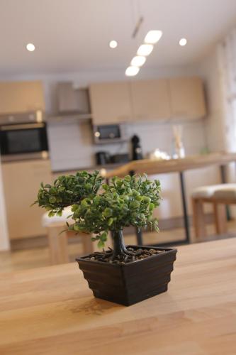 Apartment Claudia 1.1km von Messe entfernt