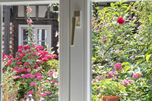 An der Gose - Gästezimmer & Appartement (An der Gose - Gastezimmer & Appartement) in Goslar City Center