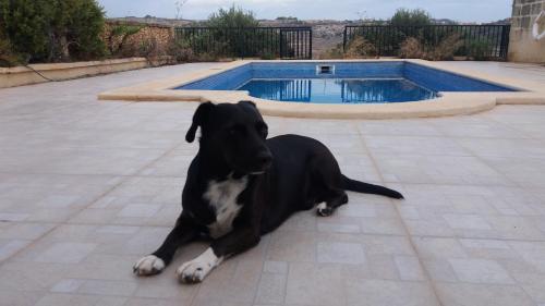 Ta Wigi Gozo