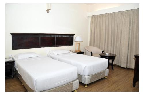Deluxe Double or Twin Room image 3