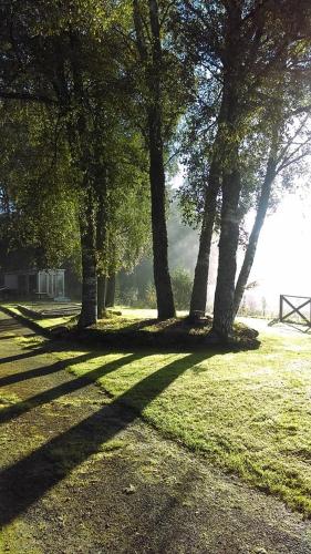 Luxury woodland Alder Lodge