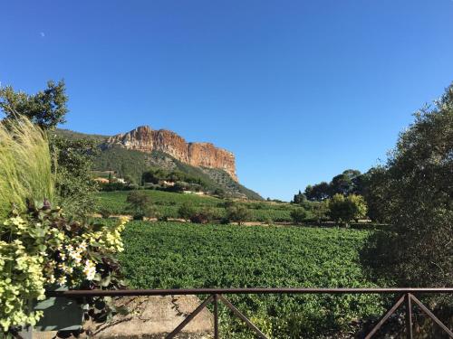 appartement cosy à 10 mètres du port de Cassis