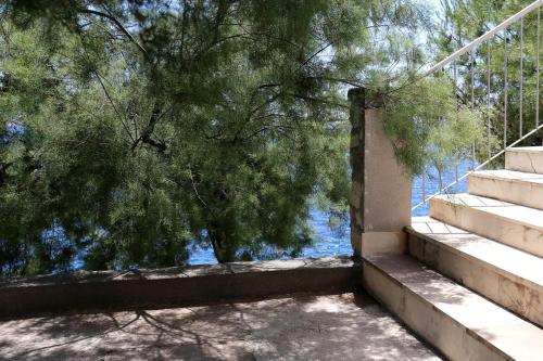Apartments by the sea Dingac - Potocine Peljesac - 4533 - image 13