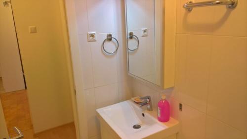 Apartman centar lux