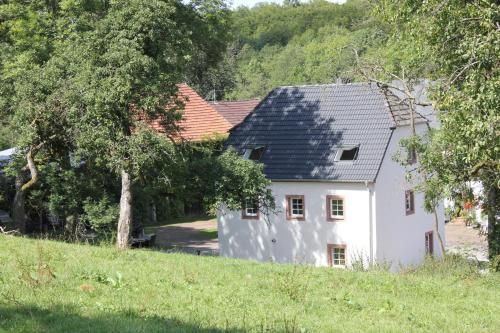 Ferienhaus Sprink Vulkaneifel