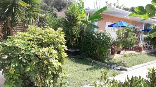  Studios Ioannidis in Parga