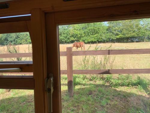 Stable lodge 2 Bedrooms