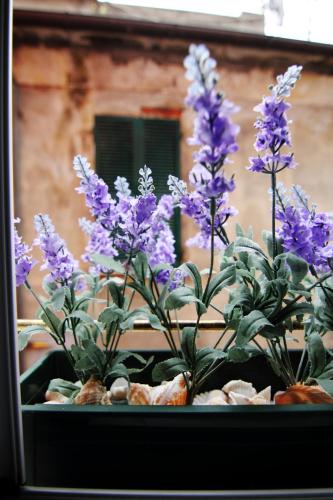 索利玛尔公寓  索利玛尔公寓