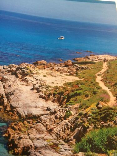 Clos des Vignes Pampelonne Vineyard - image 14