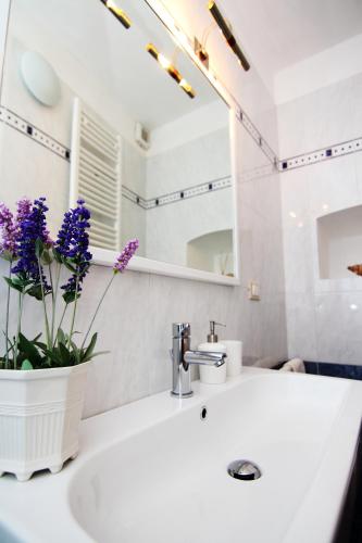 索利玛尔公寓  索利玛尔公寓