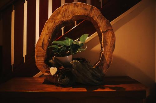 Hotel & Restaurant Adler - image 7