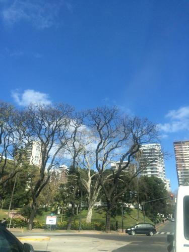 Monoambiente, Buenos Aires (photo 7)